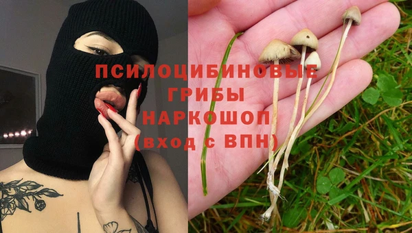 спиды Алзамай