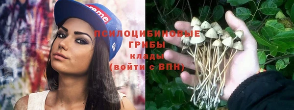 кокаин Алексеевка