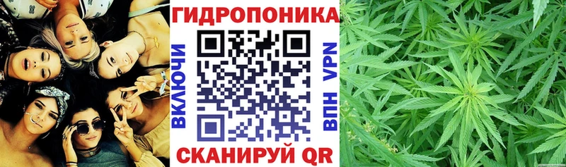 где купить наркоту  shop какой сайт  МАРИХУАНА планчик  Лахденпохья 